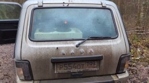 ДВЕ DL Audio Phoenix Bass Machine 8 В НИВУ ВСЕГО НА ПОЛ БАГАЖНИКА