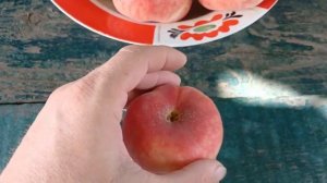 СМАЧНЮЩИЙ СОРТ!!! ПЕРСИК УФО 4.