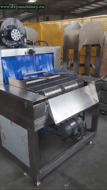 Мойщик яичных прокладок с воздушной сушкой #мойщик #яй