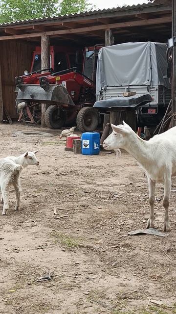 а если это любовь ❤️❤️😁