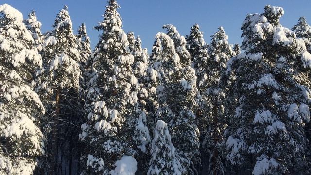 Зима в Verba Mayr смотреть онлайн