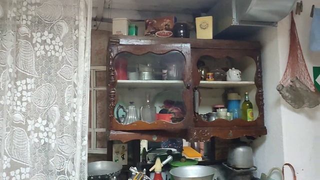 Липецк моими глазами #изгородавдеревню  #прогулкаполи