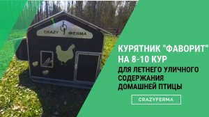 Новинка 2025 года! Курятник "Фаворит" с выгулом на 8-10 курочек