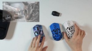 WLMouse Beast X Max Pro Tempered - распаковка и впечатления (да, это п?
