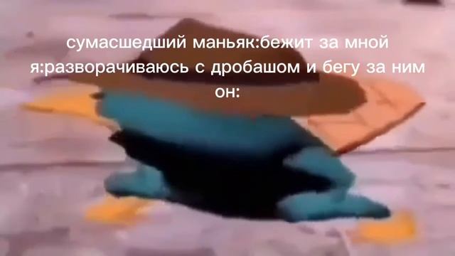 туц туц туц туц ту-туц