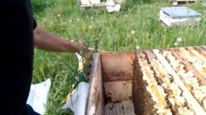 На облётнике Шленг