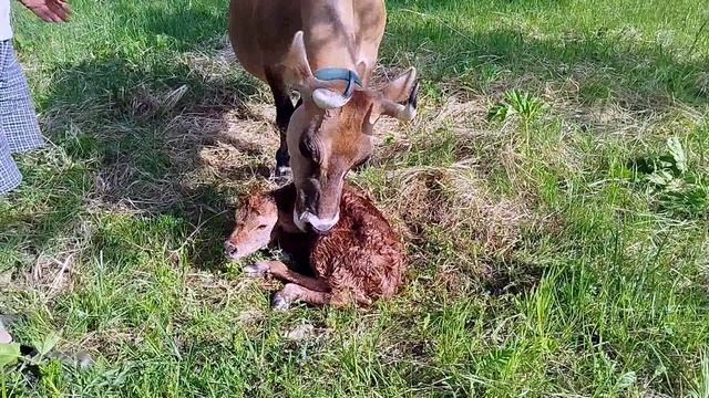 ВОТ ТАКИЕ У НАС ТУТ НОВОСТИ смотреть онлайн
