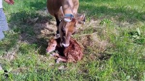 ВОТ ТАКИЕ У НАС ТУТ НОВОСТИ