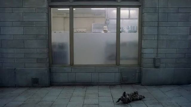 Ты, живущий (Du levande) (2007, Roy Andersson) - Собачка и рыбки смотреть онлайн