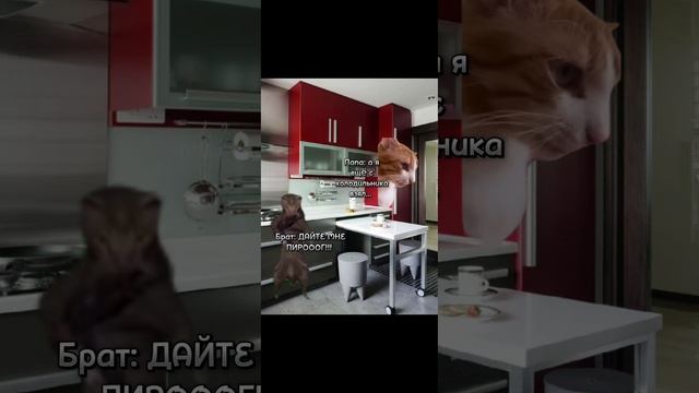 МОЯ РЕАЛЬНАЯ ЖИЗНЬ! 1 СЕРИЯ. ГОТОВИМ ПИРОГ! СМОТРЕТЬ ДО