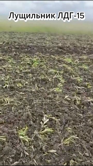 Лущильник дисковый гидрофицированный ЛДГ-15 смотреть онлайн
