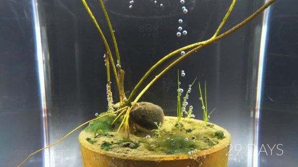 TOP 10 time-lapses - 859 Days in 8 minutes