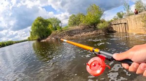 КИНУЛ НА СТРУЮ, поплавок УТАЩИЛО. Я ЗНАЛ что ОНИ ещё ТУТ ЕСТЬ. Рыбалка на реке