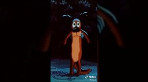 А помнишь как ты меня гонял?