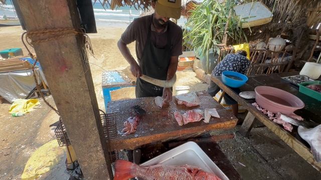 Рыбный рынок Шри-Ланка 04.2024 смотреть онлайн