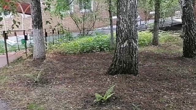 Санаторий Красная Глинка, территория. смотреть онлайн