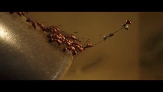 Мультфильм 2019//Букашки 2 смотреть онлайн