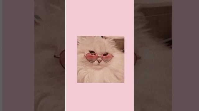 FLOKI, ЭВСЭ-девочка с смоих снов теперь со мной, Speed Up 🤍🖤