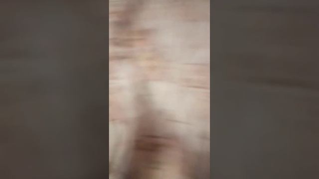 пистолет на пульках
