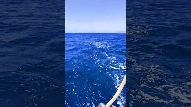 Индивидуальная яхтенная практика. Поход второго этап?