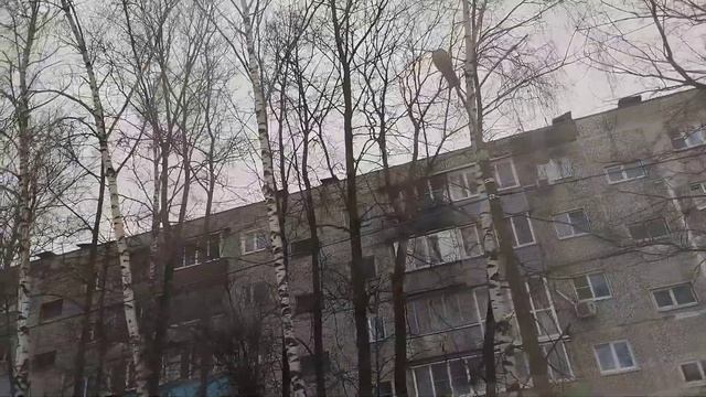 Пришла весна! 71-407-01 (Б/Н) 036/г.Коломна/Улица Зелёная - Студенческая/Маршрут 3