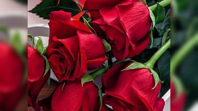 Песня - Быть может ты услышишь меня )). Caver смотреть онлайн