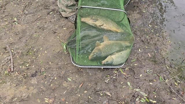 30.05.25 г. Парк отдыха водопад смотреть онлайн