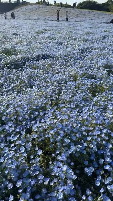 Fukuoka ♥️ смотреть онлайн