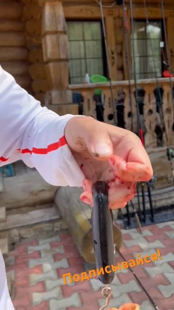 Присоединяйся к Нам! Подпишись✌️🤘👍 #рыбалка #отдых смотреть онлайн