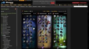 WOW SIRUS ДЛЯ НОВИЧКОВ: С ЧЕГО НАЧАТЬ В 2025 ГОДУ