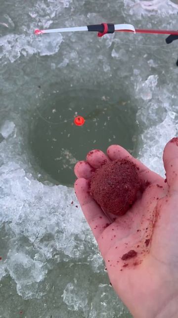 Первый раз на зимней рыбалке