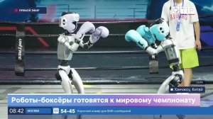 Роботы-боксеры готовятся к мировому чемпионату