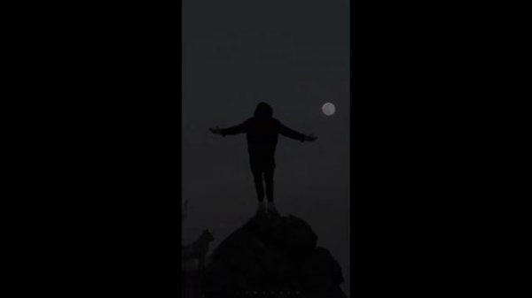 SeHEN - DREAMS (Snippet)