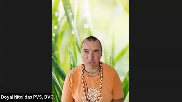 ШБ 1.17.6 лектор Доял Нитай дас (30.05.2025) смотреть онлайн