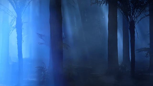 The Last Samurai Fog Ambient Soundscape