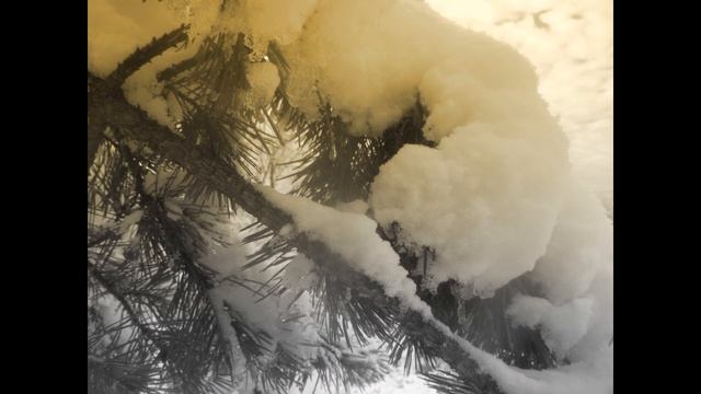 А. Алексин. Мой брат играет на кларнете. смотреть онлайн