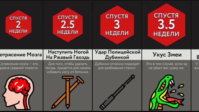 Мир Сравнений