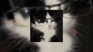 Asik, Baller - Жизнь моя делаю что хочу то хочу то не хочу