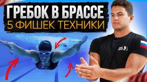 Правильный гребок в БРАССЕ от МС! 5 ГЛАВНЫХ ФИШЕК | Техника плавания брассом | Swim Rocket