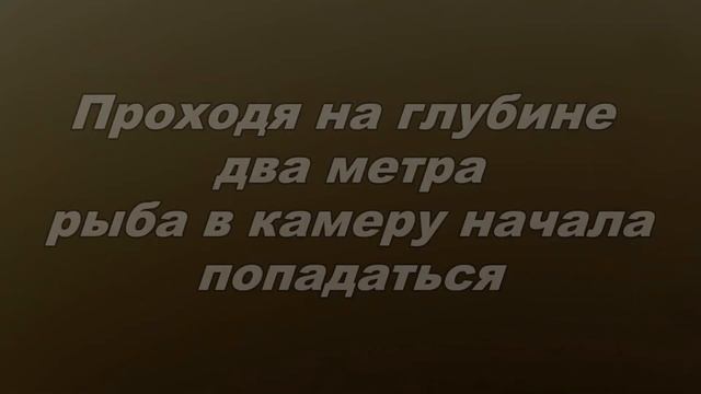 В поисках рыбы в отводном канале. Тушино 02.06.2022 года. смотреть онлайн
