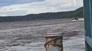 Катер Стриж переделанный.