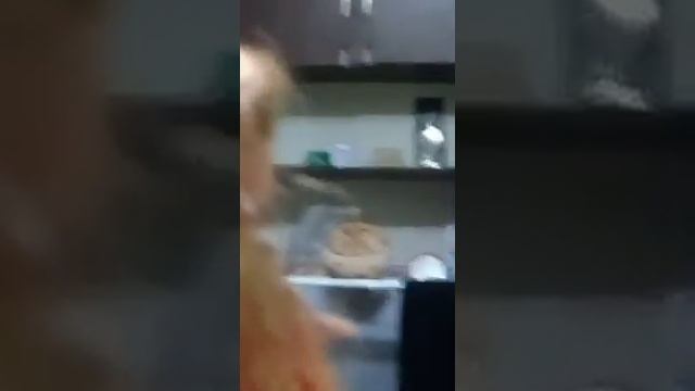 Радужный мир руби учит делать зарядку смотреть онлайн