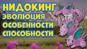 НИДОКИНГ. ЭВОЛЮЦИЯ, ОСОБЕННОСТИ, СПОСОБНОСТИ