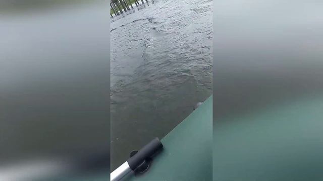 Лодочный мотор Krotof OM-52