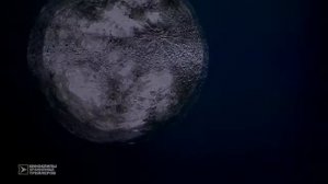 Шоу Трумана