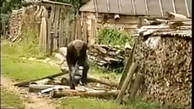 Надежда Кадышева Сохрани земля смотреть онлайн