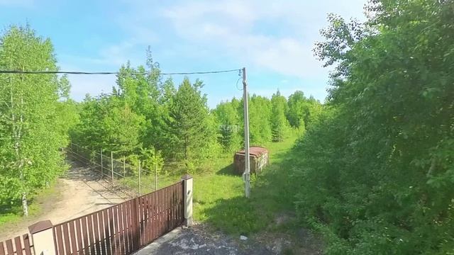 ДНП Звенящие Кедры смотреть онлайн