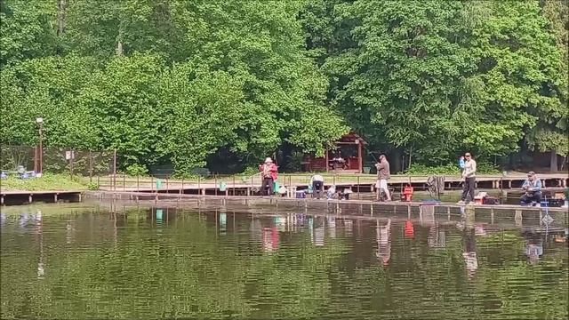 Поимки и сходы на Спорт-зоне. Клёвое место Лосиный остров. смотреть онлайн