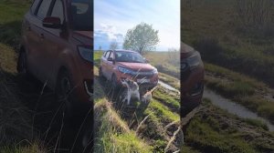 Запстрявшие