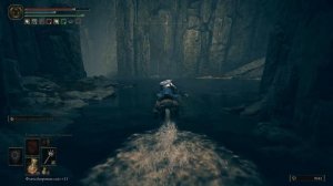 Elden Ring. DLC. Как найти талисман с двуглавой черепахой .